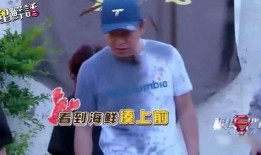 黄渤爆料最新消息新闻,揭秘娱乐圈幕后真相